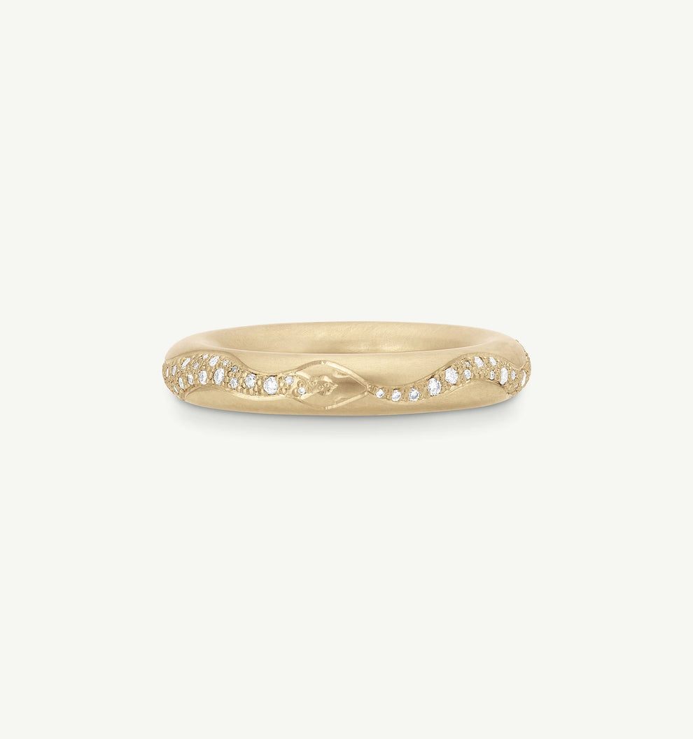 The Never Ending Ring
