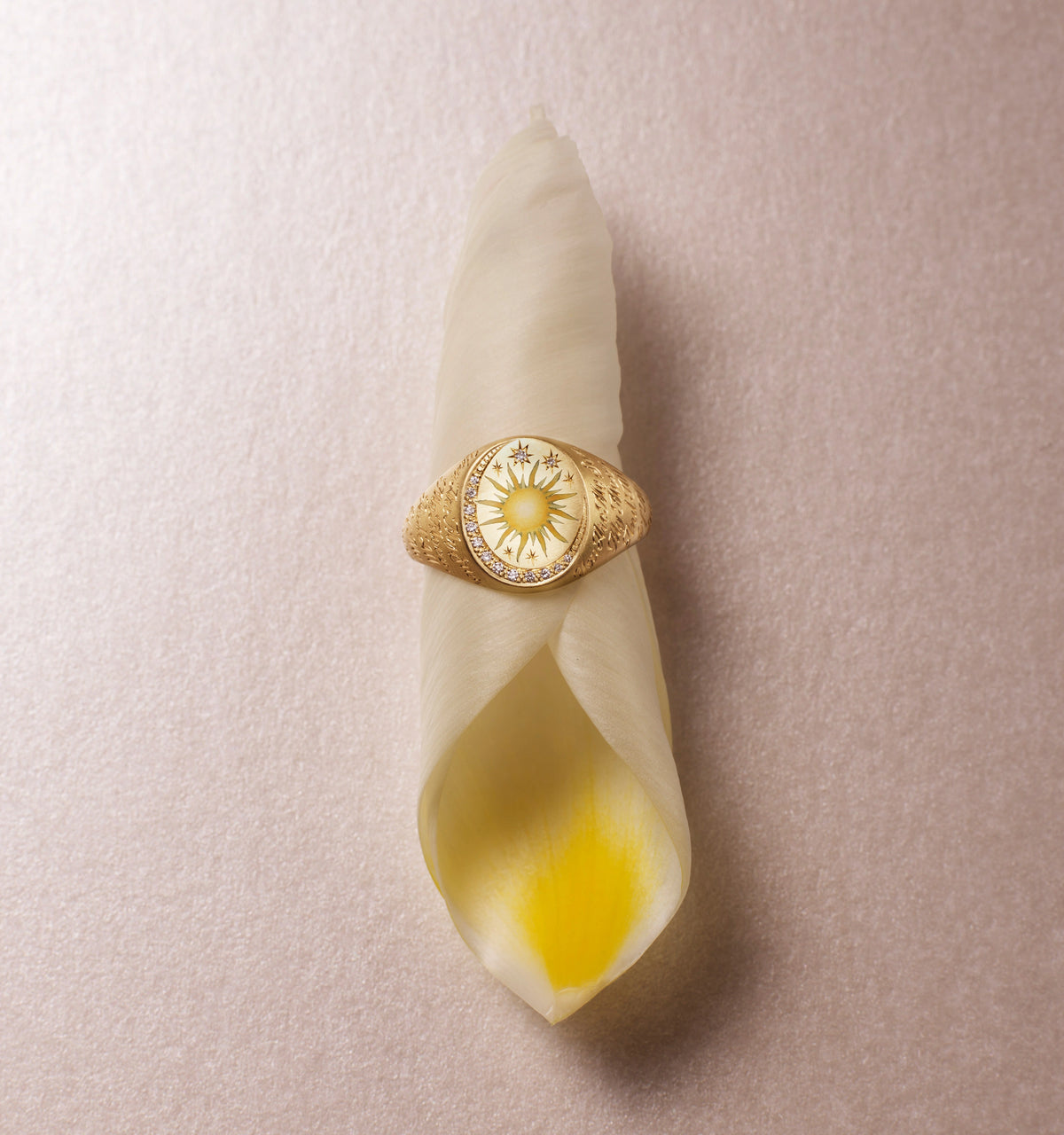 Gold ring featuring a sun motif with engraved details set on a soft cream petal against a textured pink background.