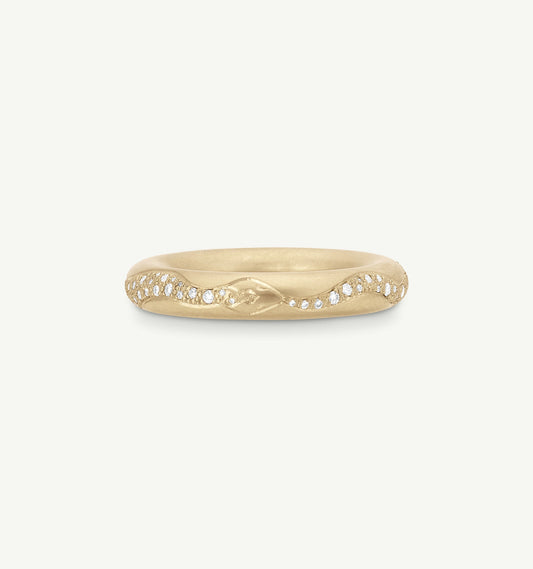 Never Ending Ring