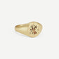 Capricorn Ring